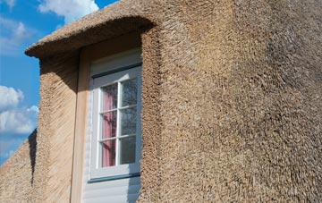 Waterfoot thatch roof disadvantages